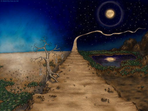The Art of Dreaming