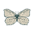 Copy of Maya Harmony Logo butterfly (24).png