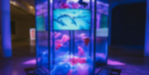 Screen Shot 2022-01-11 at 6.58_edited.jpg