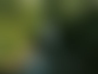 Reconnecting Hospitality with Nature on International Mother Earth Day