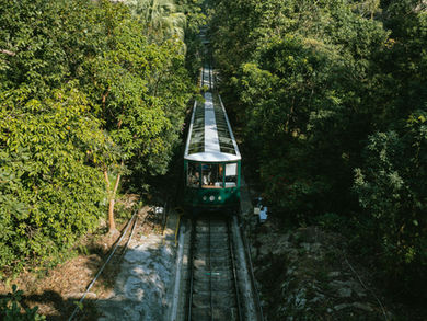 Reconnecting Hospitality with Nature on International Mother Earth Day