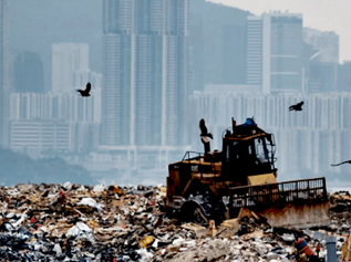Beyond Plastic: Why and How Hotels Can Lead the Waste Reduction Revolution 