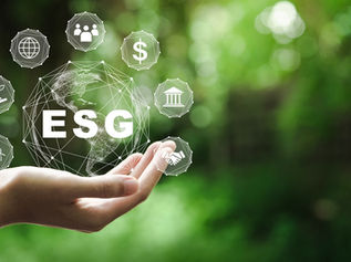 Navigating ESG Reporting and Carbon Offset: Implications for the Hospitality Industry