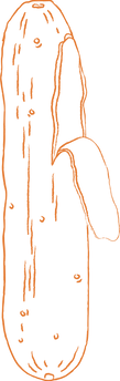 RootOrange-Cucumber-1.png