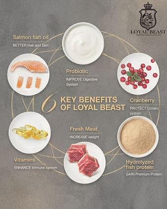 WhatsApp 图像2025-12-04于09.44.19_85954810.jpg