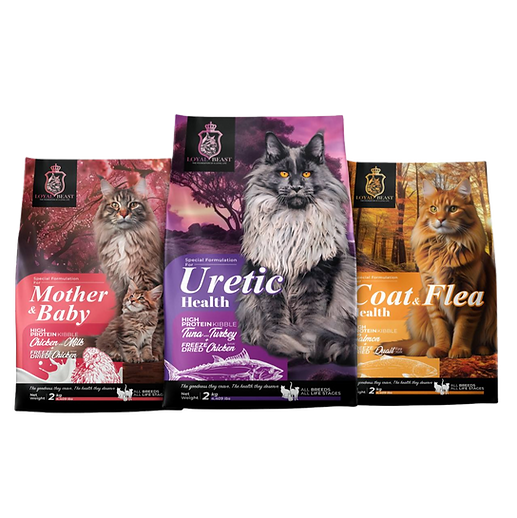 Untitled Design - 1 - Edited.png