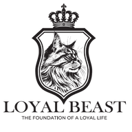 屏幕截图 2025-11-24 115115 - Edited.png