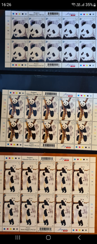SG Panda St.png