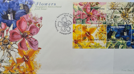 SG FDC13.png