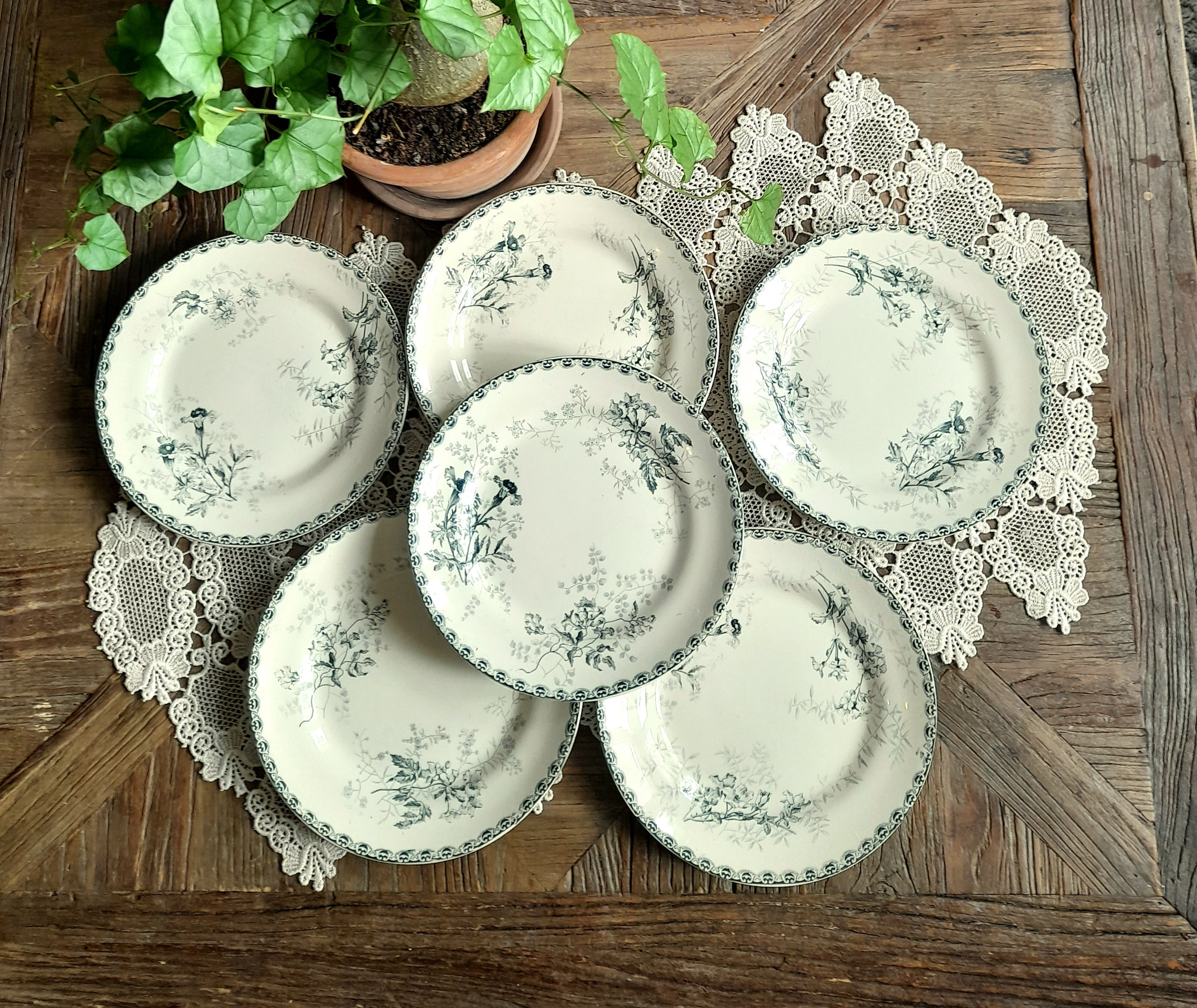 Suite de 6 assiettes Terre de Fer