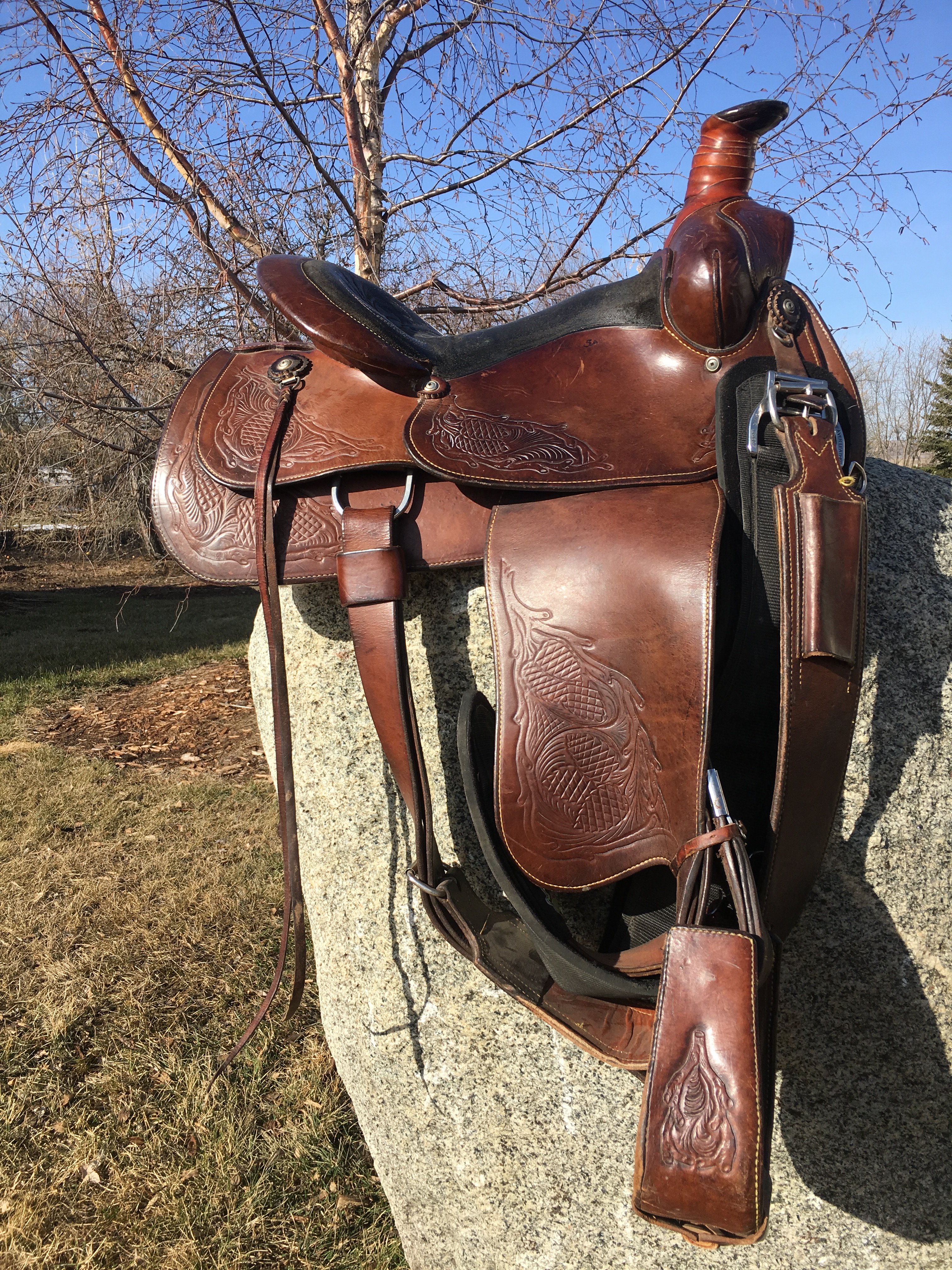 Eamor's Saddle 1