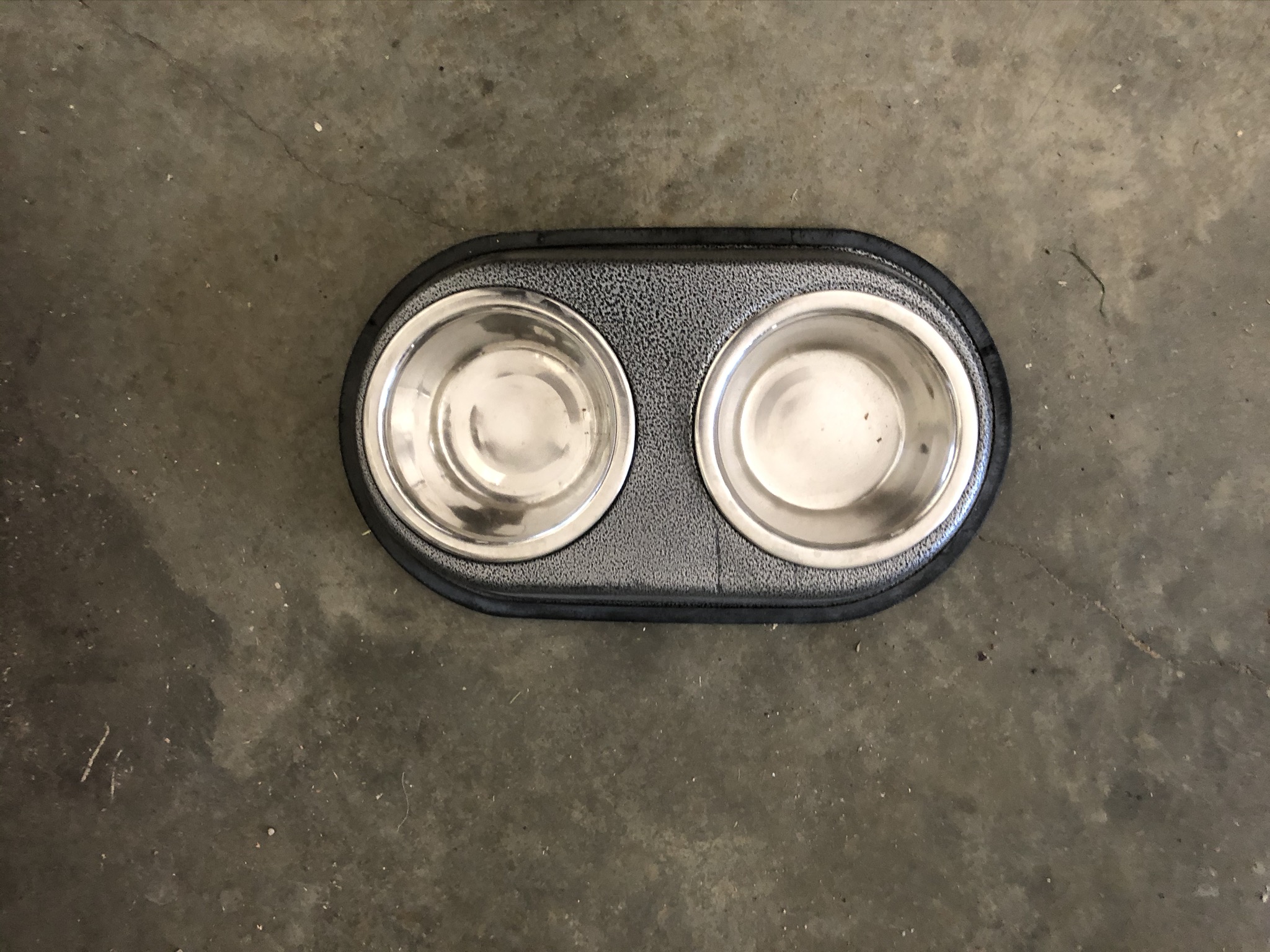 Dog Food & Water Bowl