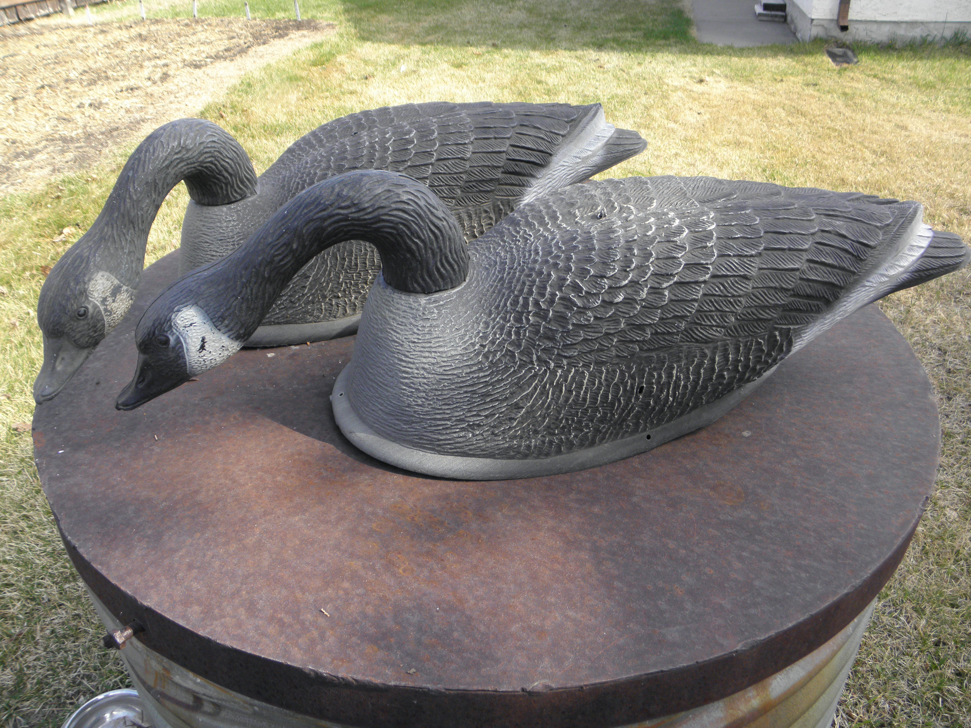 Goose Decoys