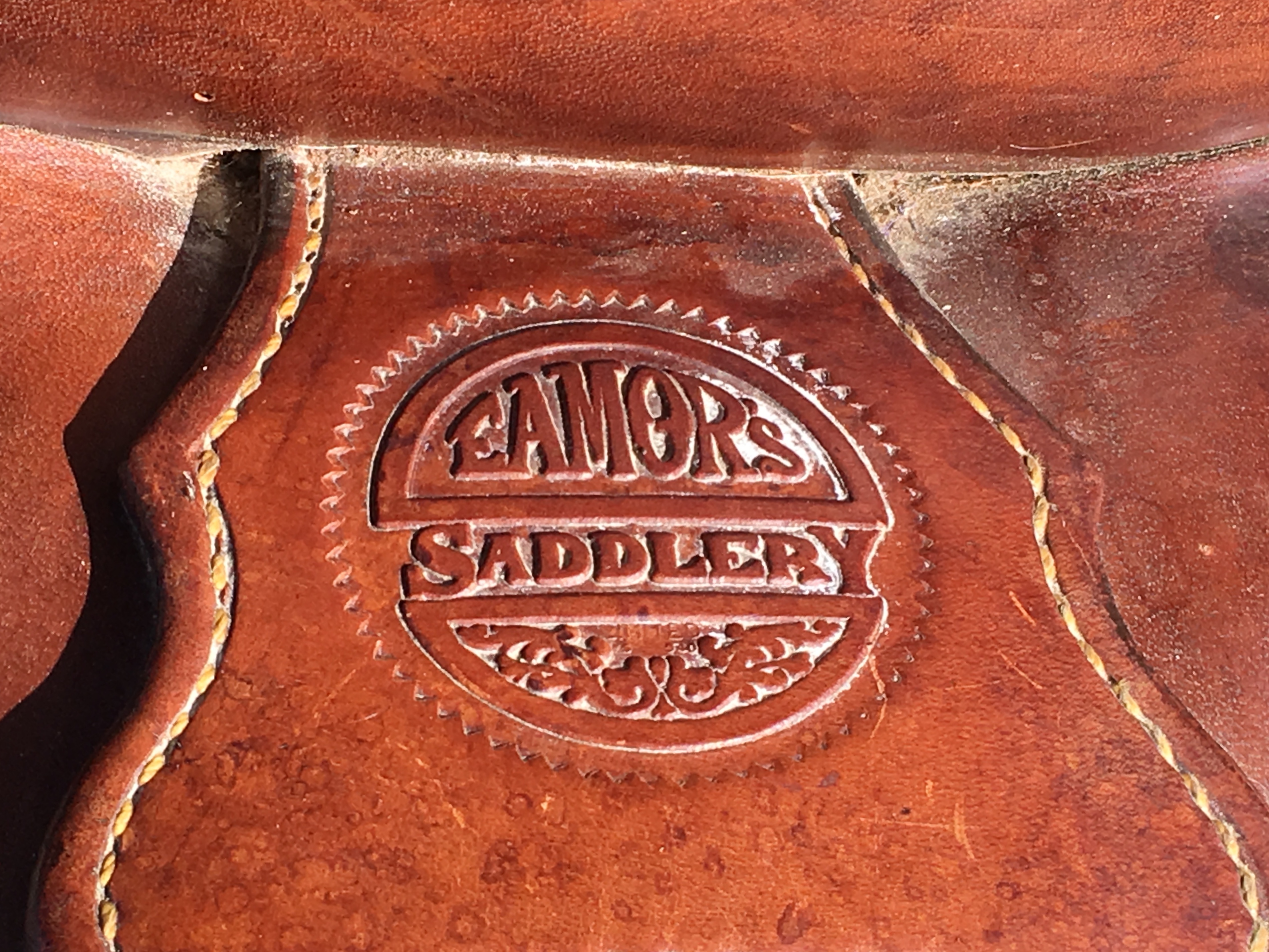 Eamor's Saddle 2