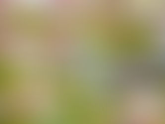 Maintaining the Services We Rely On- A Closer Look for Voters