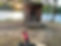 IMG_9889.jpeg