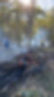 IMG_0276.jpeg