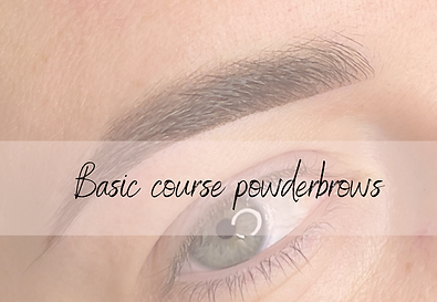 Basic course powder brows.png