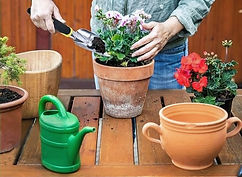 Gardening