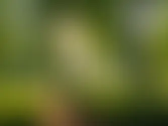 Uncover the Secret to Inner Peace: How Knowing Jesus Can Transform Your Stressful Life!