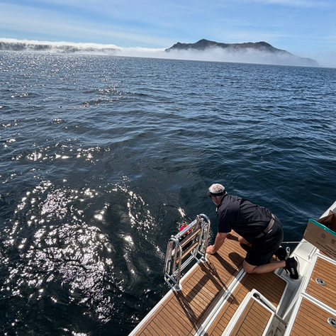Can You Scatter Ashes in the Ocean? Legal and Environmental Consideration