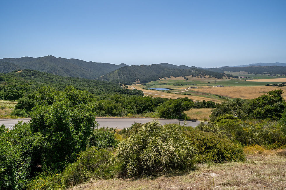 Valley road below oak-covered hills