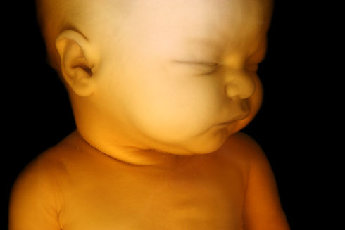 AdobeStock_3976776.jpeg