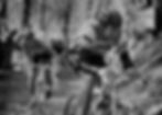 Best Professional Cyclists, History of Cycling, Books About Cycling