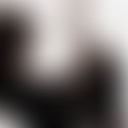 What's New on Our Website