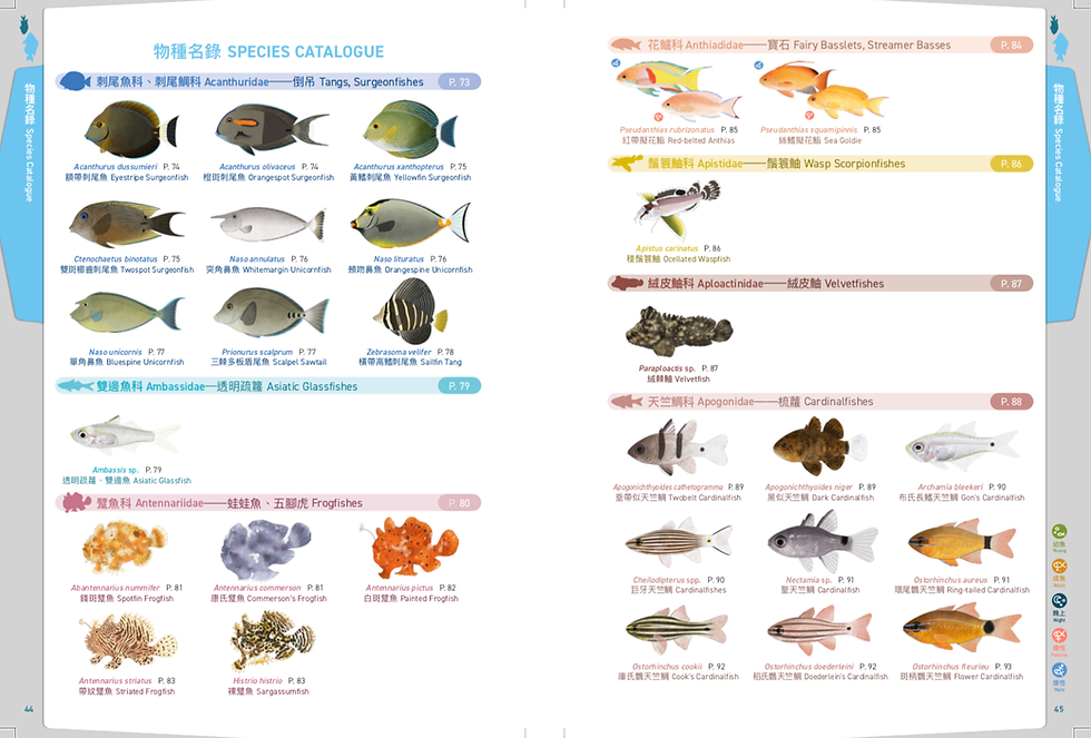 縮圖：《香港的珊瑚魚──114°E普查日誌及圖鑑》
