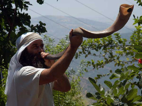 shofar-ramshorn.jpg
