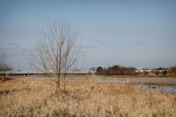 _HIN0021-Edit