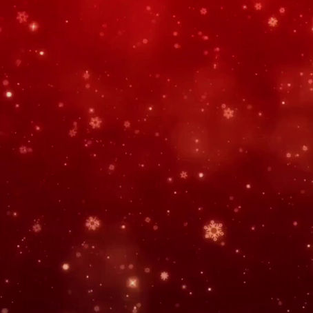 Watch our Christmas party trailer!