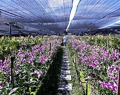 21230894_151941928725531_316249952359868