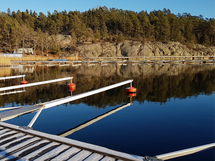 Listor med vakt och sommarplats