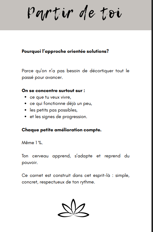 Miniature : Le petit carnet des solutions