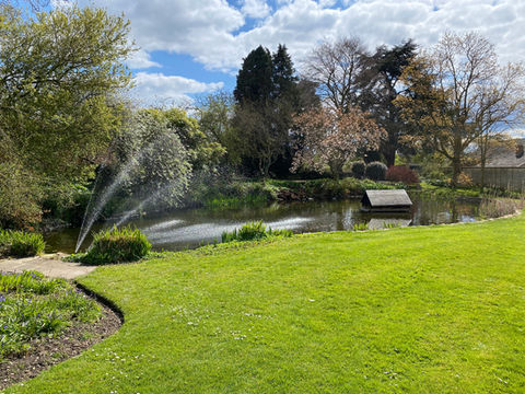 Duck Pond Fountains