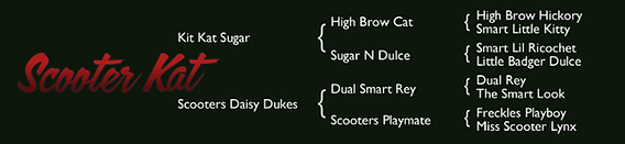 Scooter Kat Pedigree.png
