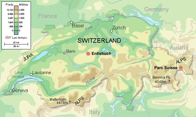 entle in switz.gif