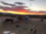IMG_2845.jpeg