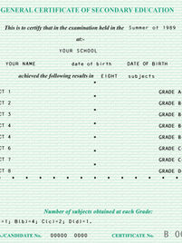 Fake SEG GCSE Certificate