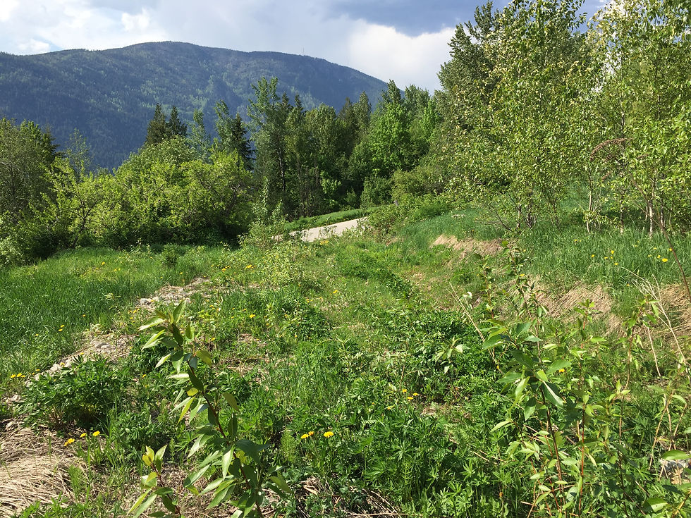Lot A Mountain Station Road