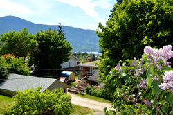 713 Sixth Street View