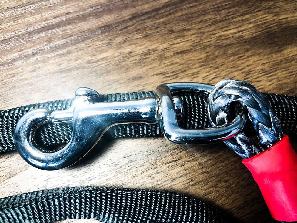 Thumbnail: 5/16" Winch Line Doggie Leash w/ Black Protective Cover & Swivel Snap