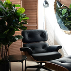 Lounge - 808 Studios Halifax