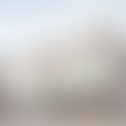 台新醫院 牙科部(台中市東區)