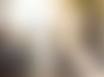 翡冷翠牙醫診所 (台北市信義區)