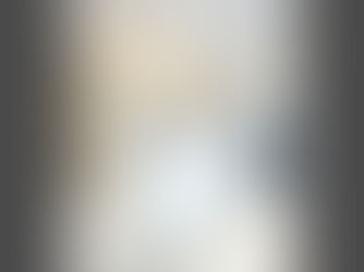 新林牙醫診所(新北市林口區)