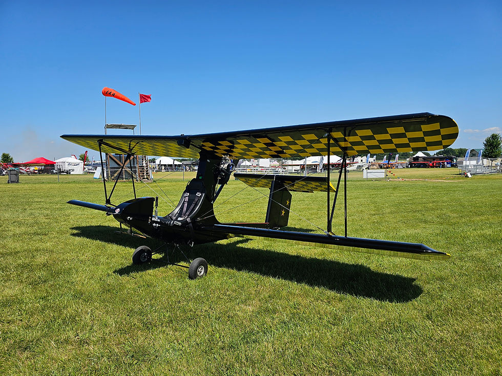 2024 Future Vehicles Dingo Baby Pitts