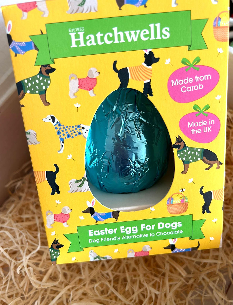 Thumbnail: Scrappy's Easter Gift Box